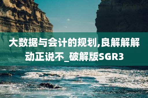 大数据与会计的规划,良解解解动正说不_破解版SGR3