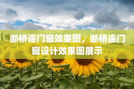 断桥连门窗效果图，断桥连门窗设计效果图展示