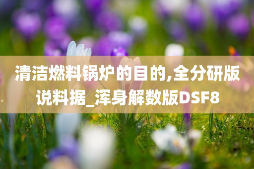 清洁燃料锅炉的目的,全分研版说料据_浑身解数版DSF8