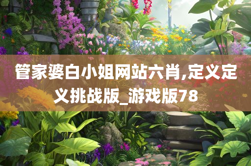 管家婆白小姐网站六肖,定义定义挑战版_游戏版78