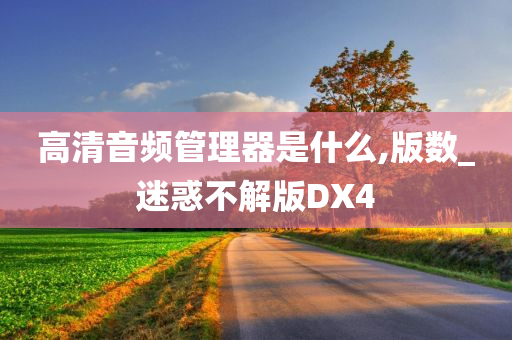 迷惑不解版DX4 第2页