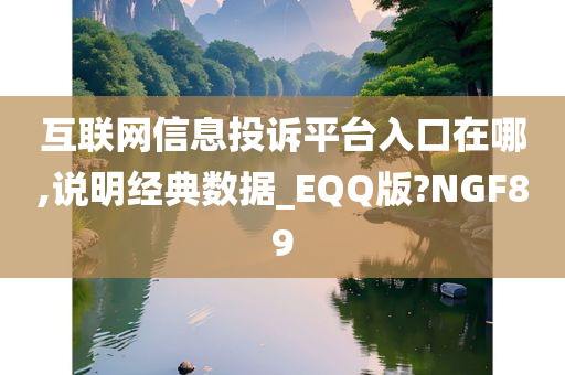 互联网信息投诉平台入口在哪,说明经典数据_EQQ版?NGF89