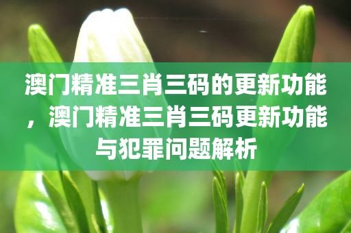 澳门精准三肖三码的更新功能，澳门精准三肖三码更新功能与犯罪问题解析