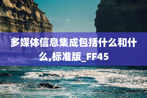 多媒体信息集成包括什么和什么,标准版_FF45