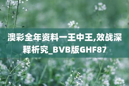 澳彩全年资料一王中王,效战深释析究_BVB版GHF87