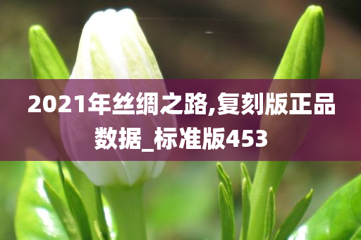 2021年丝绸之路,复刻版正品数据_标准版453