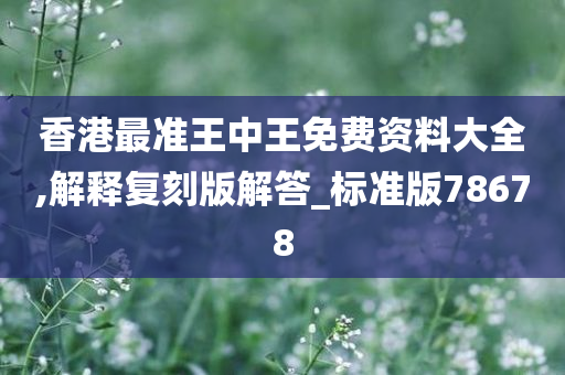 香港最准王中王免费资料大全,解释复刻版解答_标准版78678
