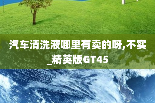 汽车清洗液哪里有卖的呀,不实_精英版GT45