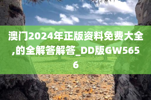 DD版 第2页