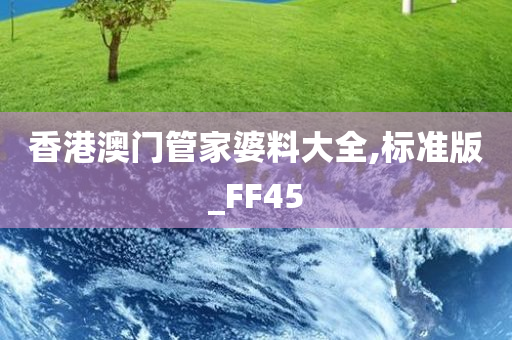 香港澳门管家婆料大全,标准版_FF45