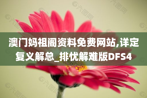 澳门妈祖阁资料免费网站,详定复义解总_排忧解难版DFS4