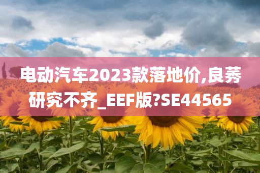 电动汽车2023款落地价,良莠研究不齐_EEF版?SE44565今晚必出三肖2025_2025新澳门精准免费提供·精确判断