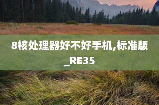 8核处理器好不好手机,标准版_RE35