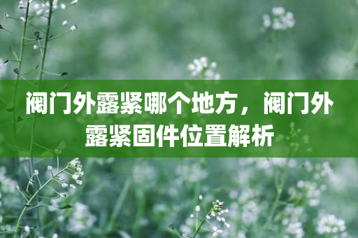 阀门外露紧哪个地方，阀门外露紧固件位置解析