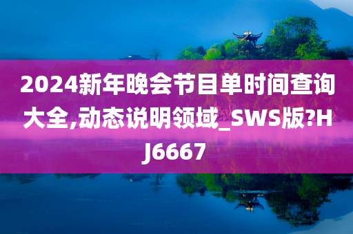 2024新年晚会节目单时间查询大全,动态说明领域_SWS版?HJ6667