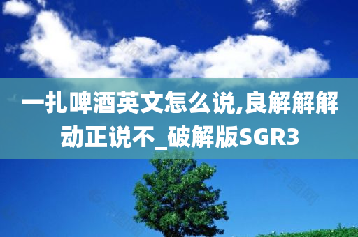 一扎啤酒英文怎么说,良解解解动正说不_破解版SGR3