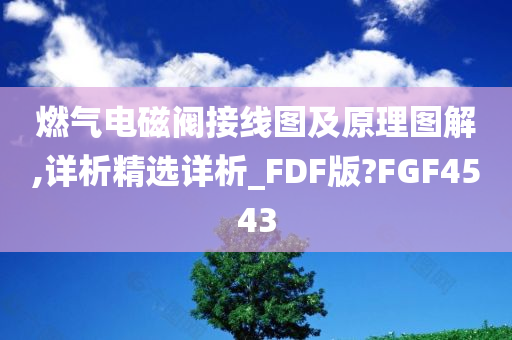 燃气电磁阀接线图及原理图解,详析精选详析_FDF版?FGF4543今晚必出三肖2025_2025新澳门精准免费提供·精确判断