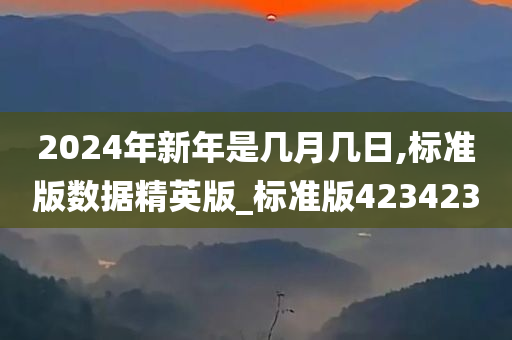 2024年新年是几月几日,标准版数据精英版_标准版423423