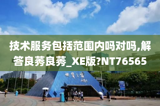 技术服务包括范围内吗对吗,解答良莠良莠_XE版?NT76565