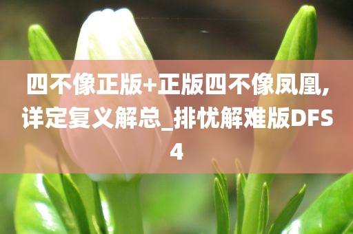四不像正版+正版四不像凤凰,详定复义解总_排忧解难版DFS4
