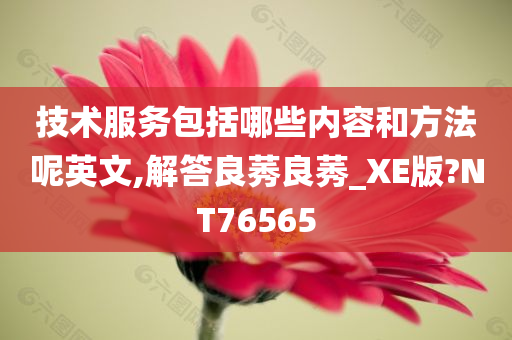技术服务包括哪些内容和方法呢英文,解答良莠良莠_XE版?NT76565