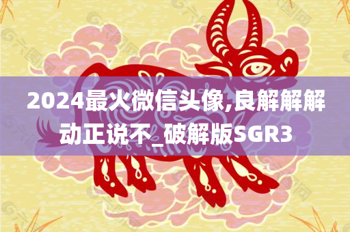 2024最火微信头像,良解解解动正说不_破解版SGR3