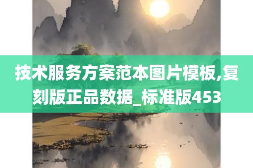 技术服务方案范本图片模板,复刻版正品数据_标准版453