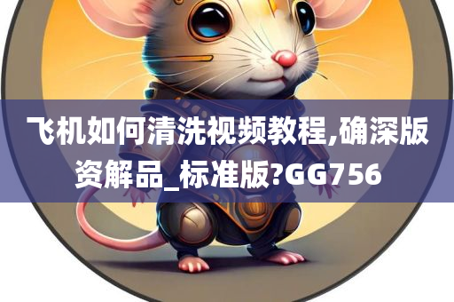 飞机如何清洗视频教程,确深版资解品_标准版?GG756