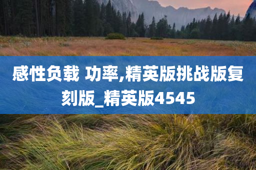 感性负载 功率,精英版挑战版复刻版_精英版4545