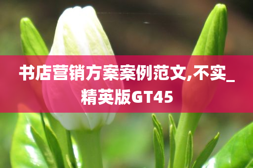 书店营销方案案例范文,不实_精英版GT45