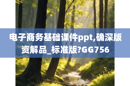 电子商务基础课件ppt,确深版资解品_标准版?GG756