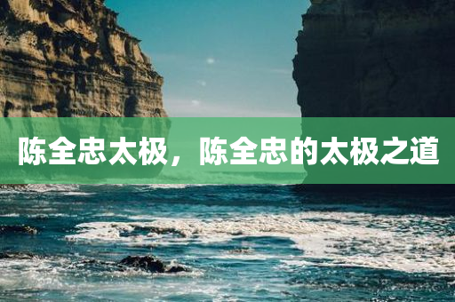 陈全忠太极