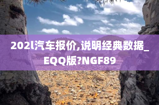 202l汽车报价,说明经典数据_EQQ版?NGF89今晚必出三肖2025_2025新澳门精准免费提供·精确判断