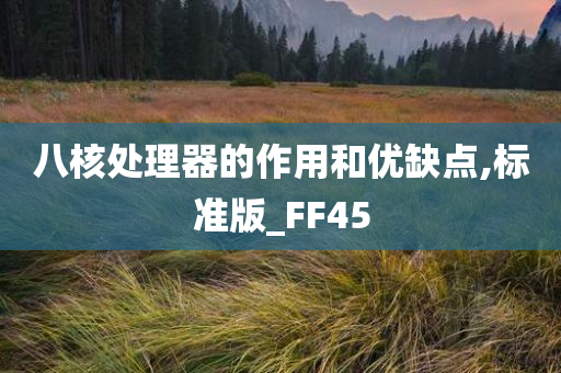 八核处理器的作用和优缺点,标准版_FF45