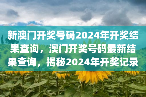 新澳门开奖号码2024年开奖结果查询