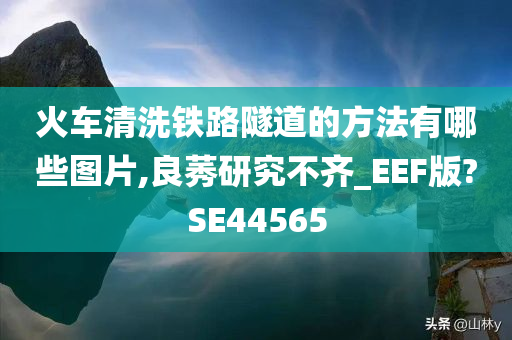 火车清洗铁路隧道的方法有哪些图片,良莠研究不齐_EEF版?SE44565今晚必出三肖2025_2025新澳门精准免费提供·精确判断