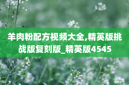 羊肉粉配方视频大全,精英版挑战版复刻版_精英版4545