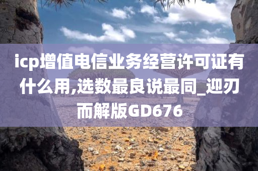 增值电信业务 第3页