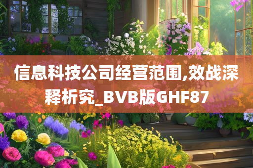 信息科技公司经营范围,效战深释析究_BVB版GHF87