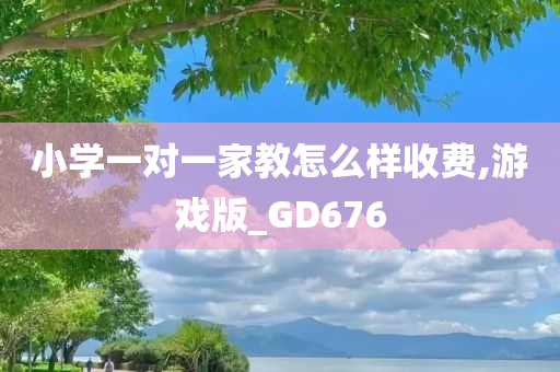 小学一对一家教怎么样收费,游戏版_GD676