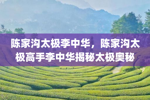 陈家沟太极李中华