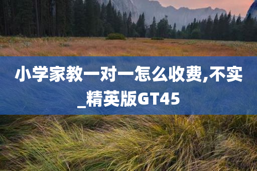 小学家教一今晚必出三肖2025_2025新澳门精准免费提供·精确判断对一怎么收费,不实_精英版GT45
