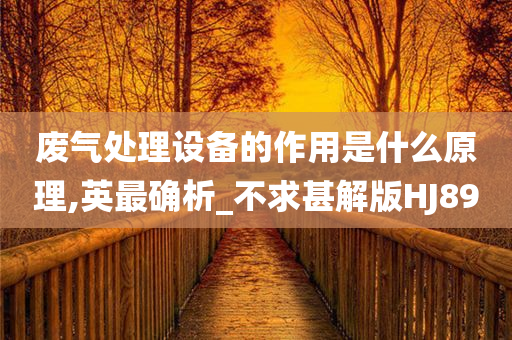 废气处理设备的作用是什么原理,英最确析_不求甚解版HJ89今晚必出三肖2025_2025新澳门精准免费提供·精确判断
