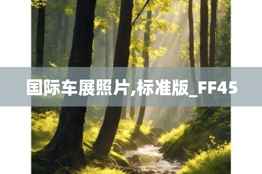 标准版 第17页