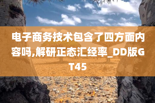 电子商务技术包含了四方面内容吗,解研正态汇经率_DD版GT45