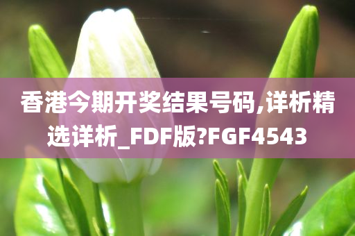 香港今期开奖结果号码,详析精选详析_FDF版?FGF4543