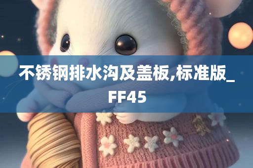 不锈钢排水沟及盖板,标准版_FF45
