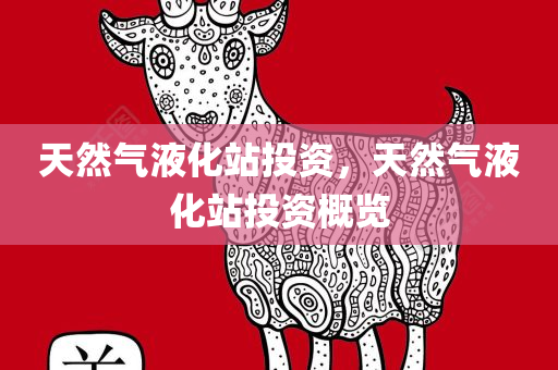 天然气液化站投资