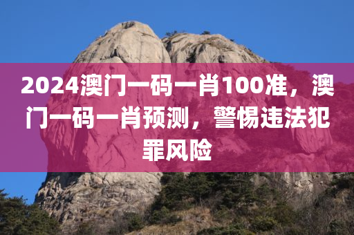 2024澳门一码一肖100准