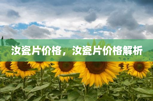 汝瓷片价格